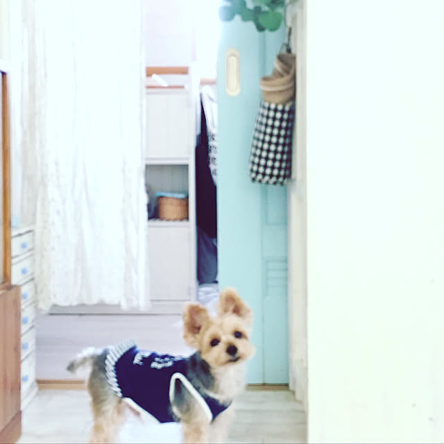 pocoさんの実例写真