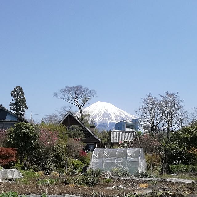 Maki-nekomamireさんの実例写真