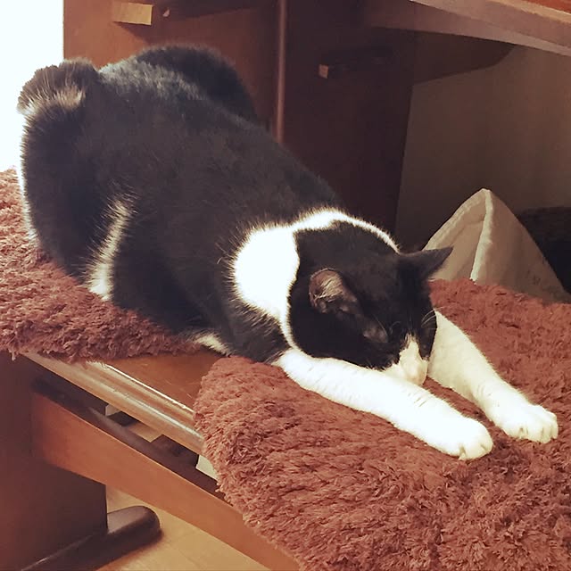kumiさんの実例写真