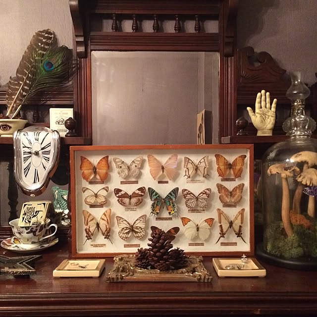 collaegiumさんの実例写真