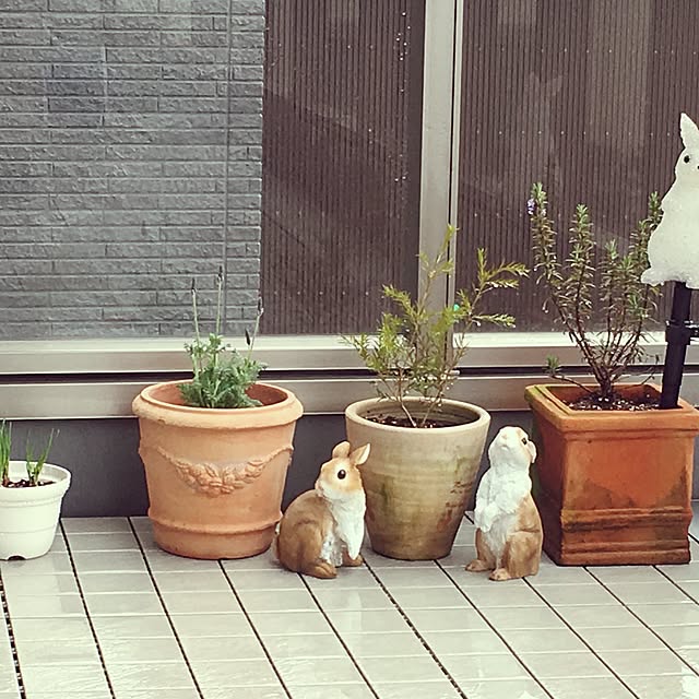Mihoさんの実例写真