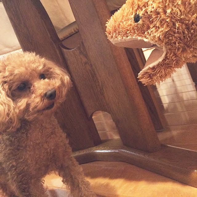 Momoさんの実例写真