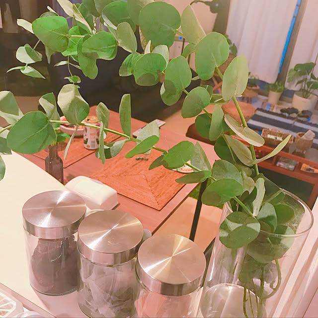 キッチン/100均/セリア/観葉植物/ナチュラルのインテリア実例 - 2018-08-29 18:47:39