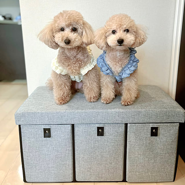 n_homeさんの実例写真