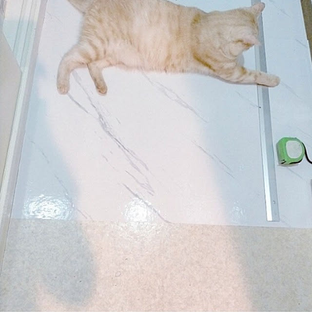 heart.emiemi57.whiteさんの実例写真