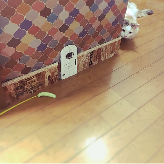 nakayoshinyankoさんの実例写真