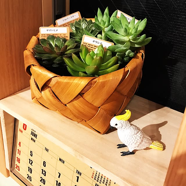 Chiakiさんの実例写真