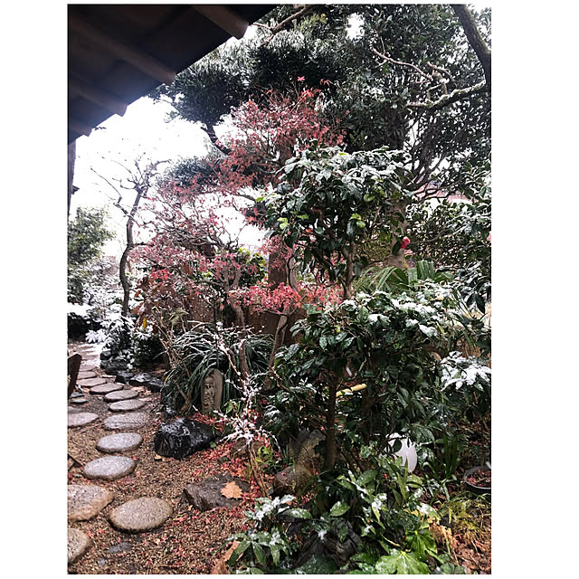 riettaさんの実例写真