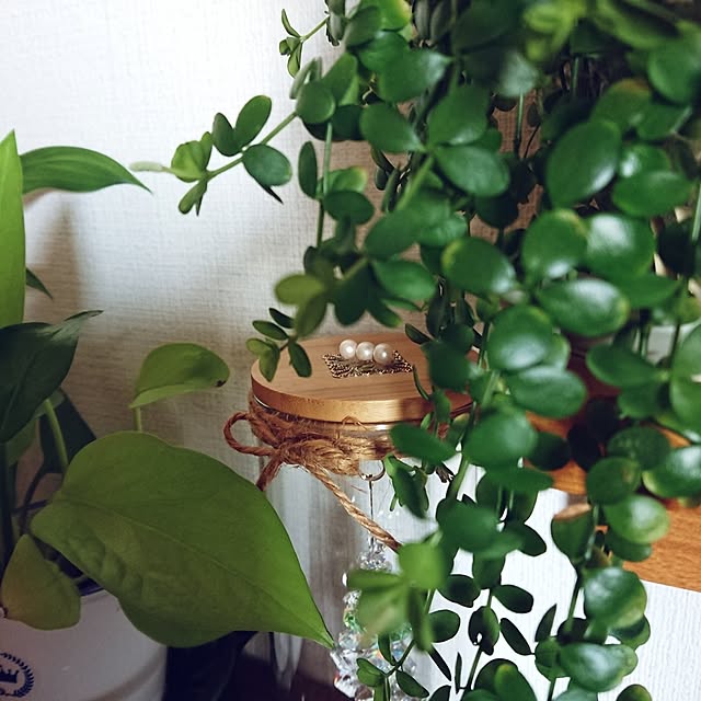 hopkeiさんの実例写真