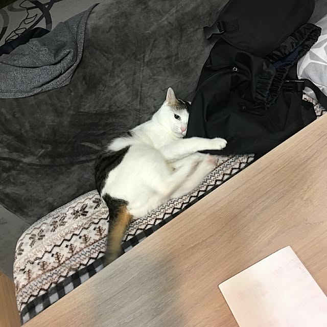 sunnyさんの実例写真