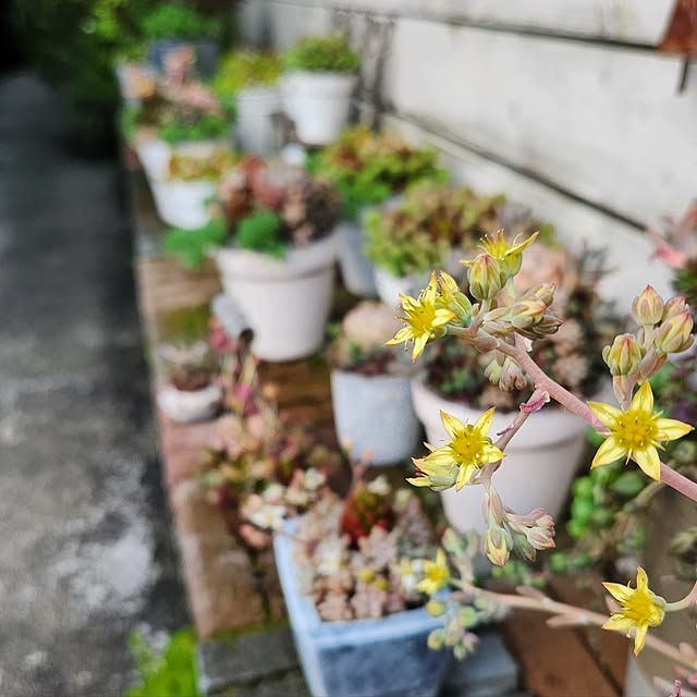 amtさんの実例写真