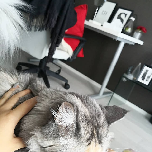 BEroomさんの実例写真