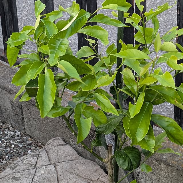 minnieさんの部屋