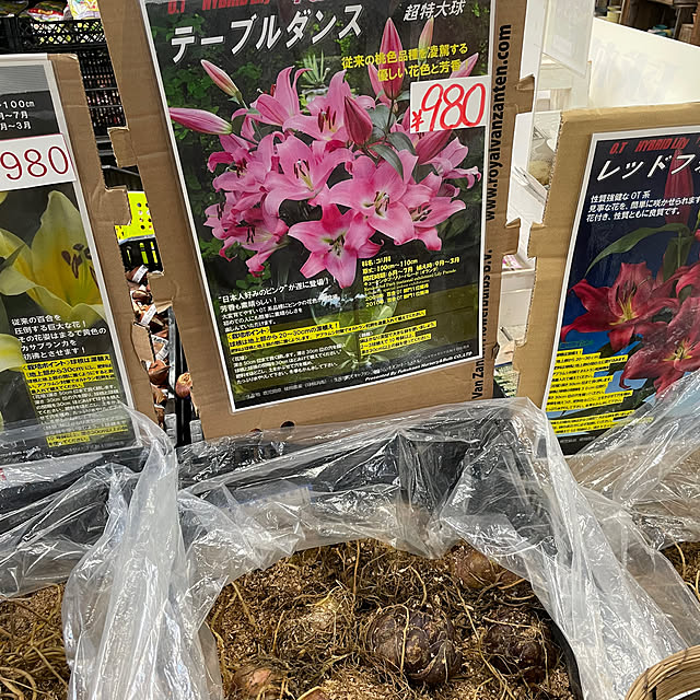 shin0719さんの部屋