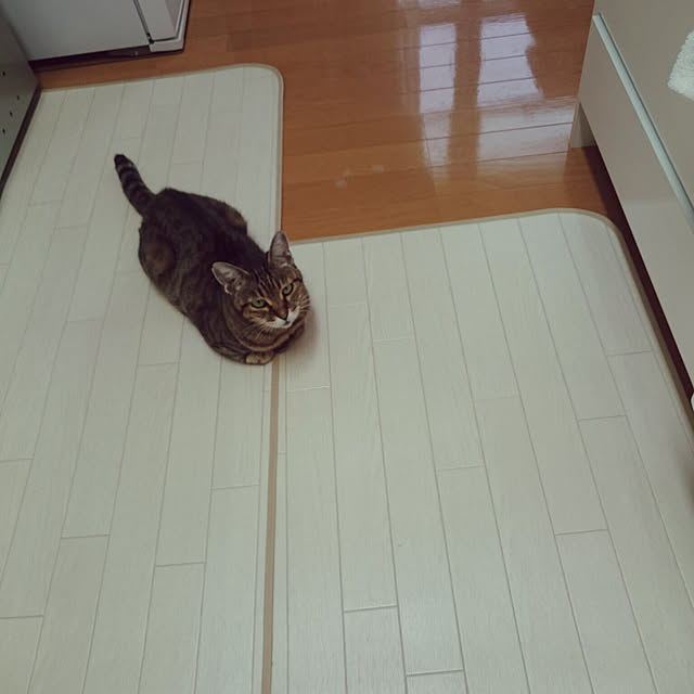 lilyさんの実例写真