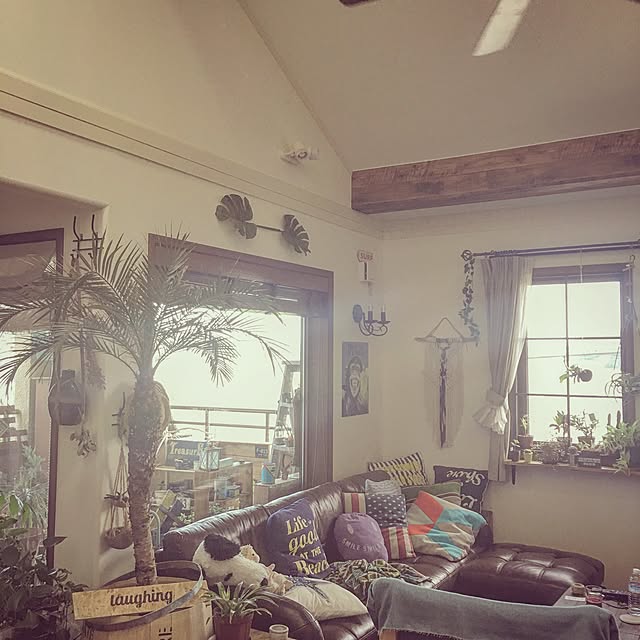 Mikaさんの実例写真