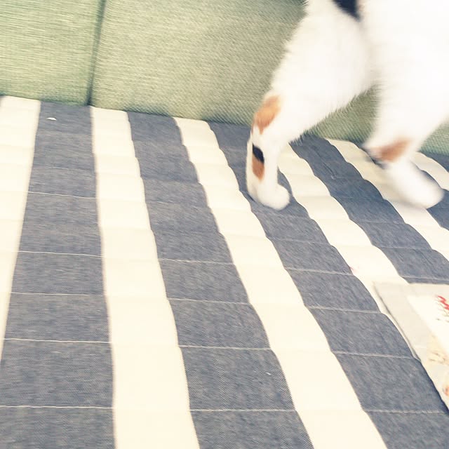 aaakoさんの実例写真