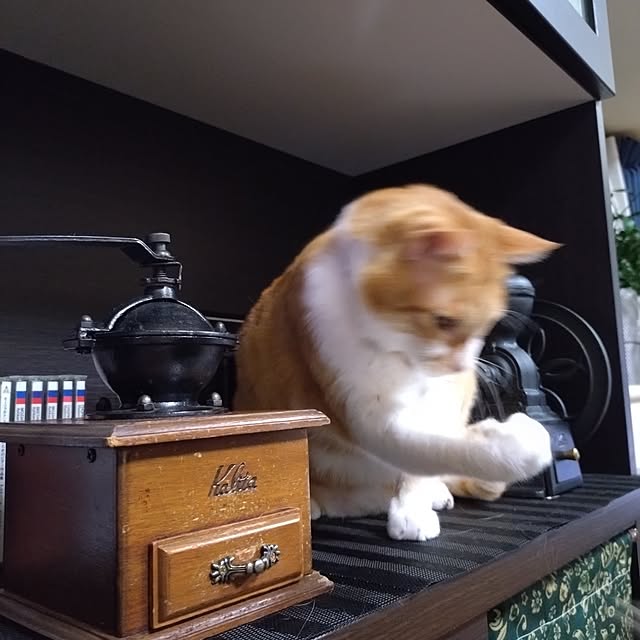 NOAHさんの部屋