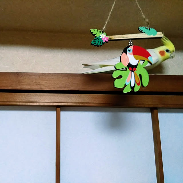 toratanさんの実例写真