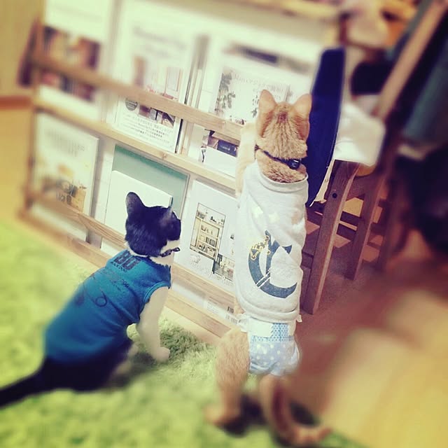 REINA612WORKSさんの実例写真