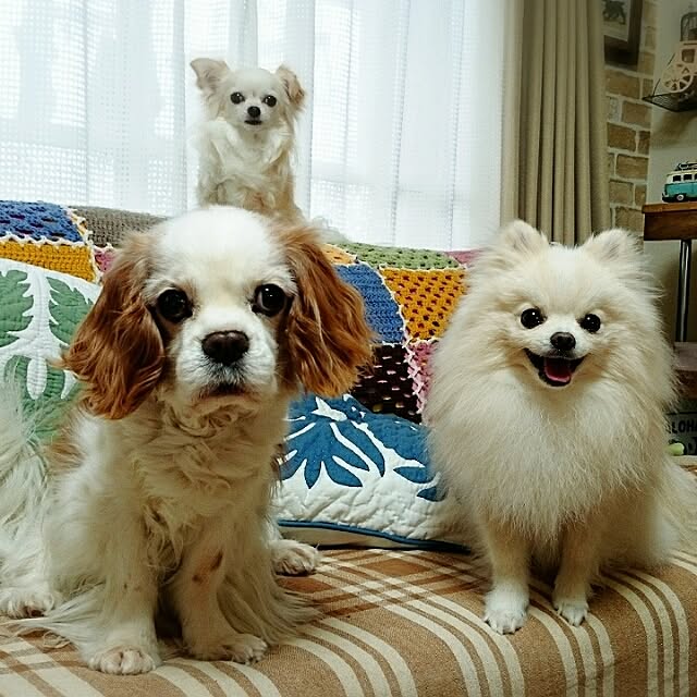 yukaさんの実例写真