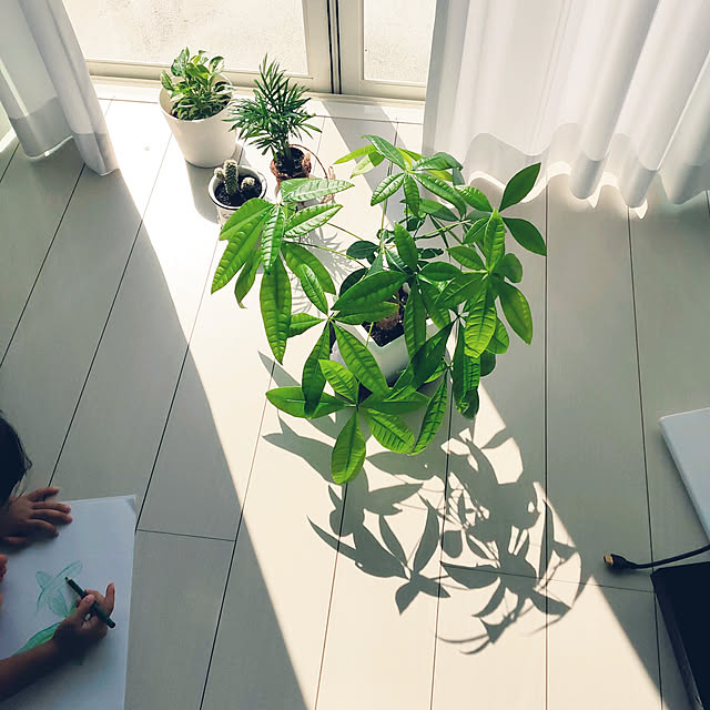 tiny.house+さんの実例写真