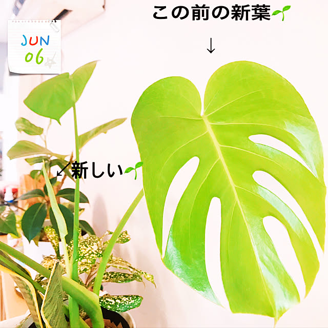 rizumu4649さんの実例写真