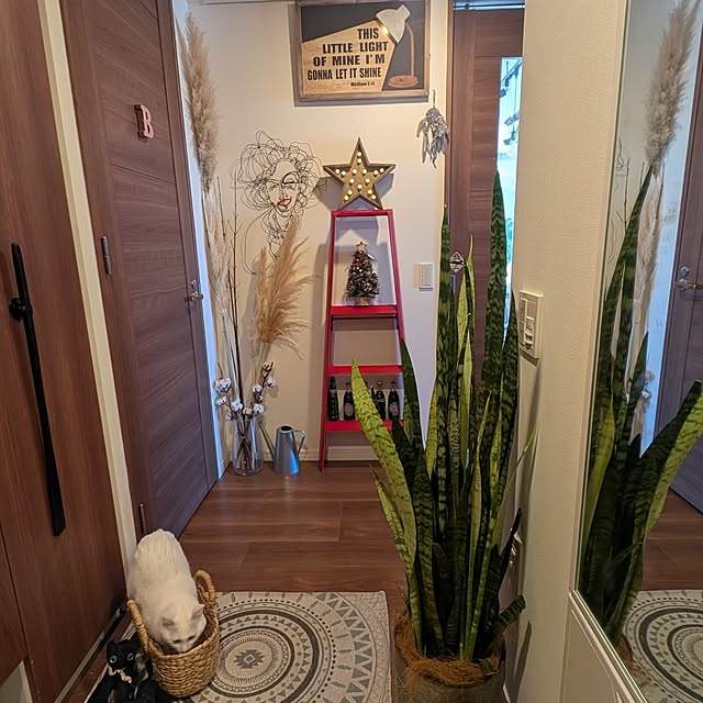 necoさんの部屋