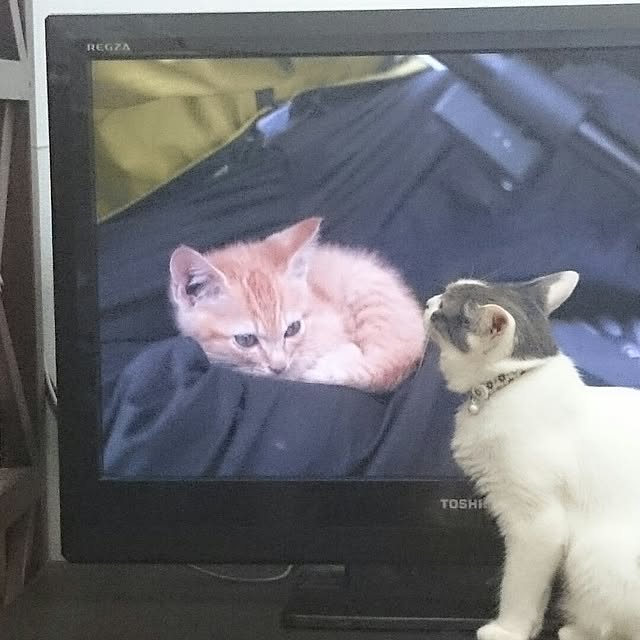 yockenさんの実例写真