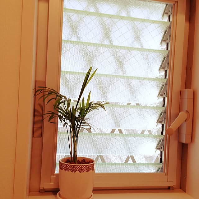 k.koさんの実例写真