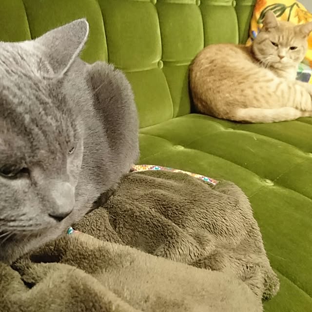 Mitsuruさんの実例写真