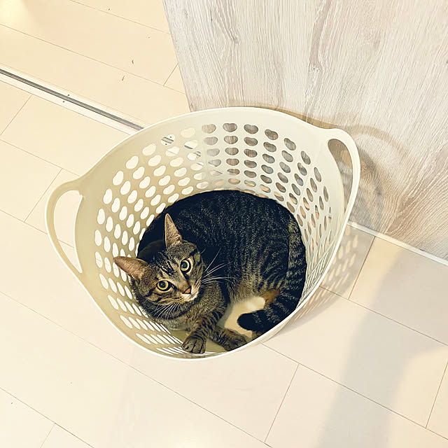 mmeeronさんの実例写真