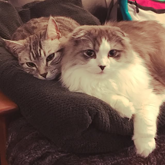 amo69xxさんの実例写真