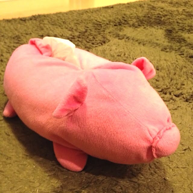 ISOさんの実例写真