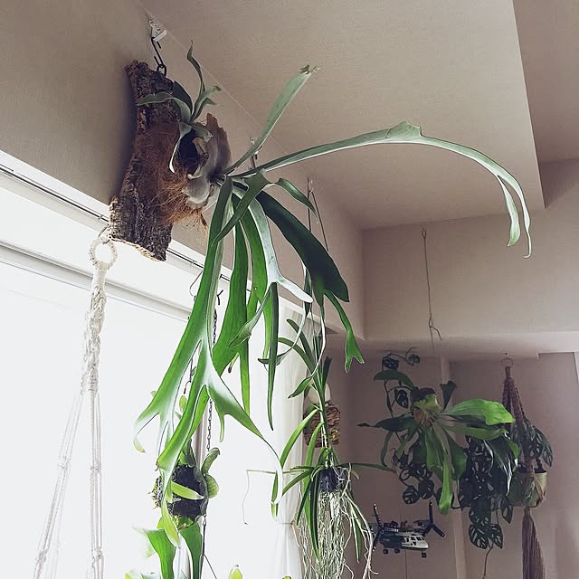 abeさんの実例写真