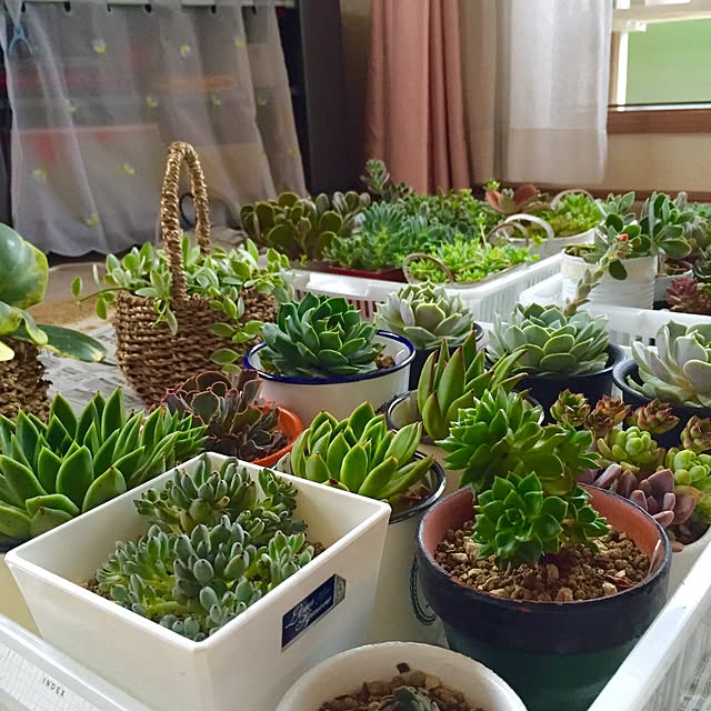 vam-06さんの実例写真