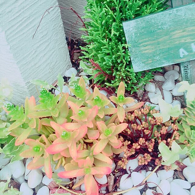 relaxsunさんの実例写真