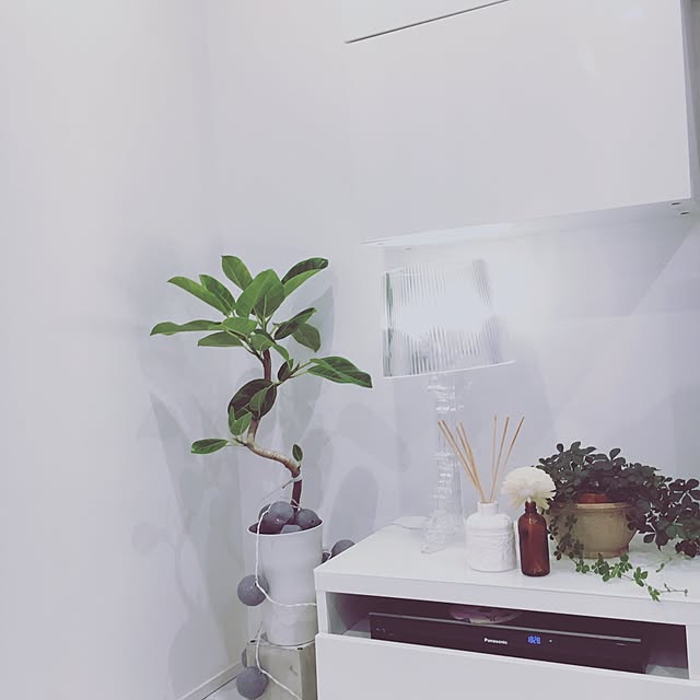 Norikoさんの実例写真