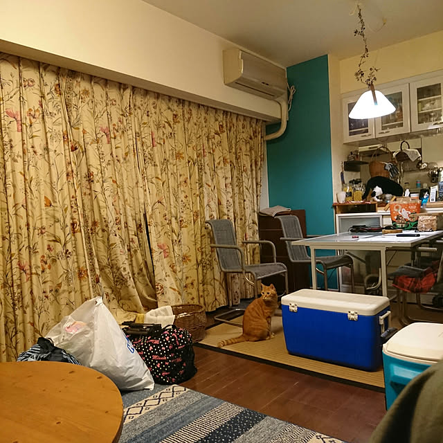 okyosan101さんの実例写真
