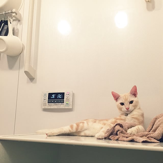 hiyupan88さんの実例写真
