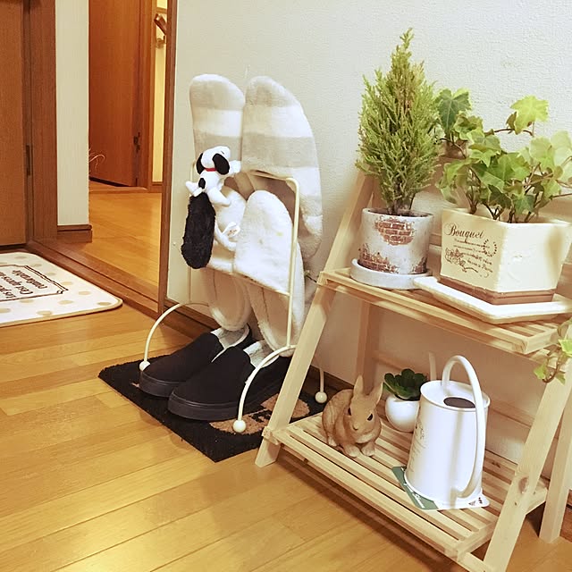 Kanaさんの実例写真