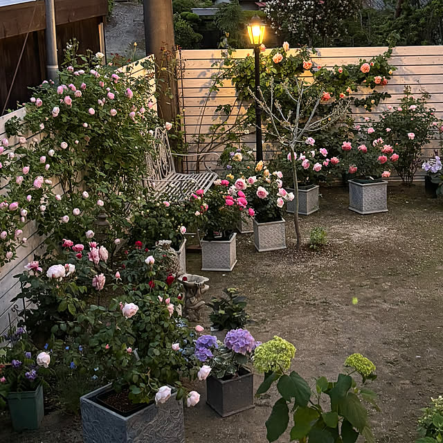 choさんの部屋