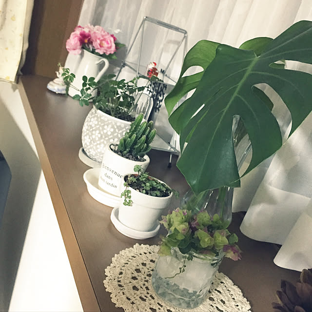 Junran50さんの実例写真