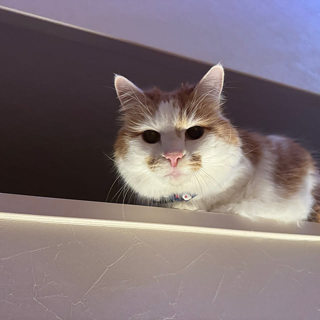 yutaさんの部屋