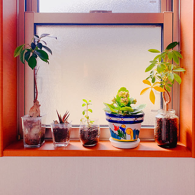 miao-kinさんの実例写真