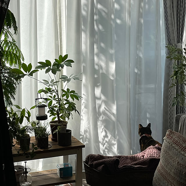 Rieさんの部屋