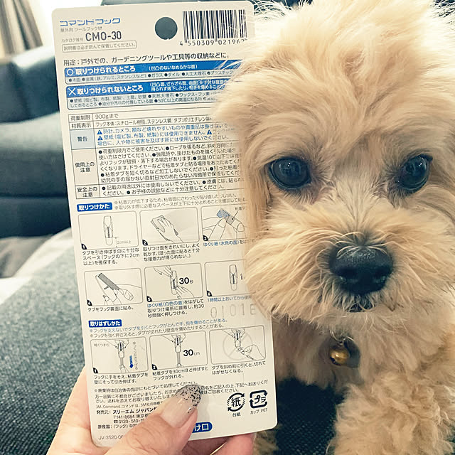 ikt.tamaさんの実例写真