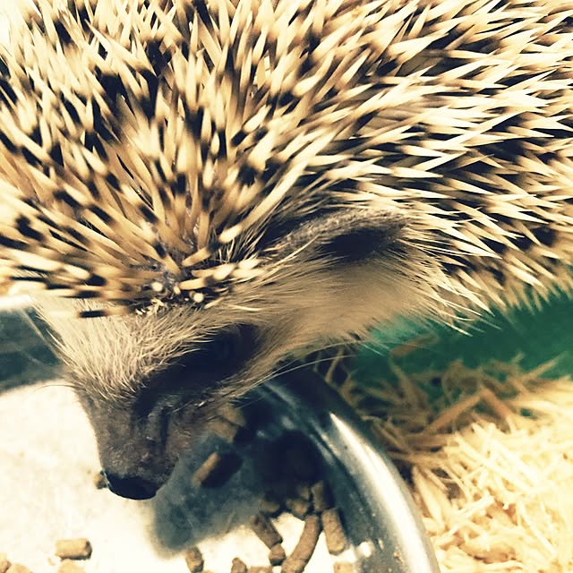 Masamiさんの実例写真