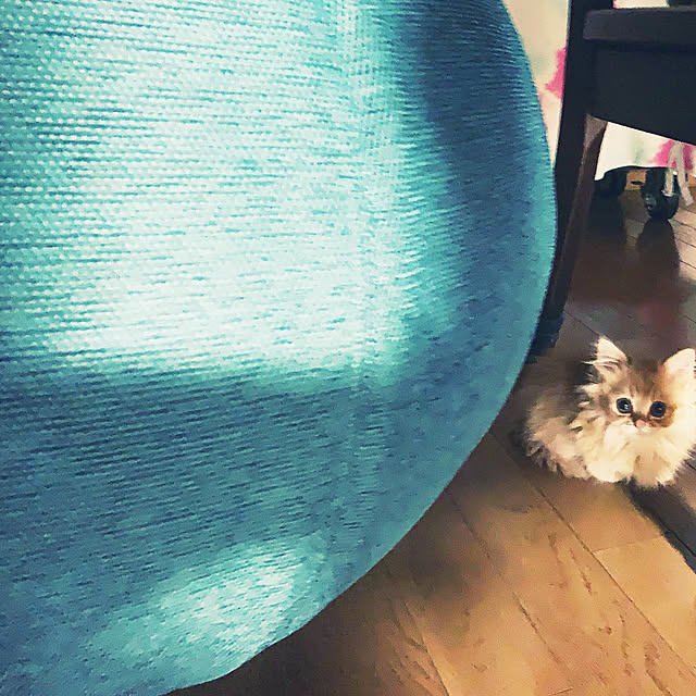 HULAさんの実例写真