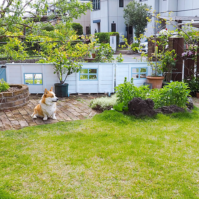 futago-chiさんの実例写真